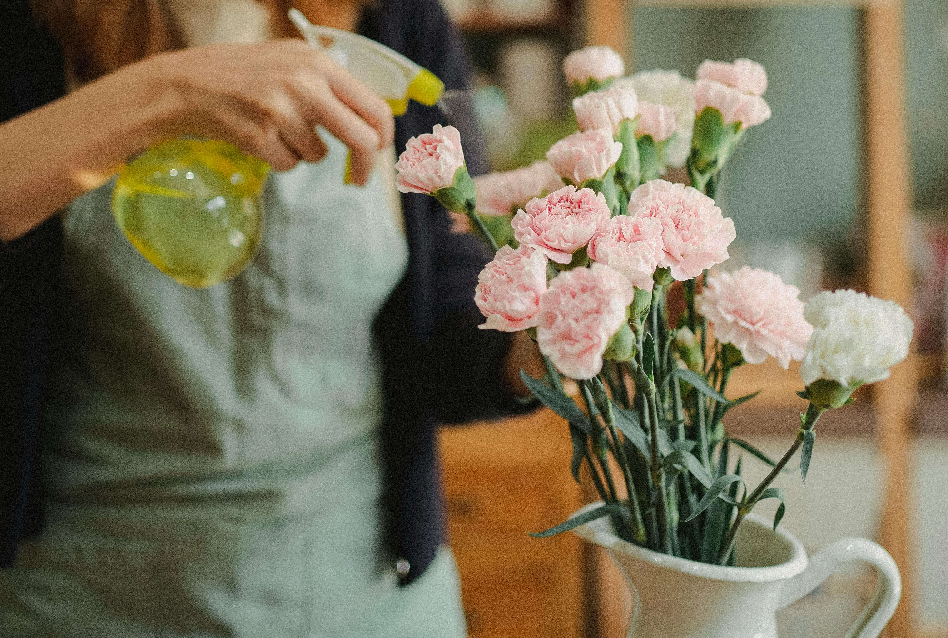 What Essential Oils Keep Bugs Away: 10 Natural Scents That Repel Insects