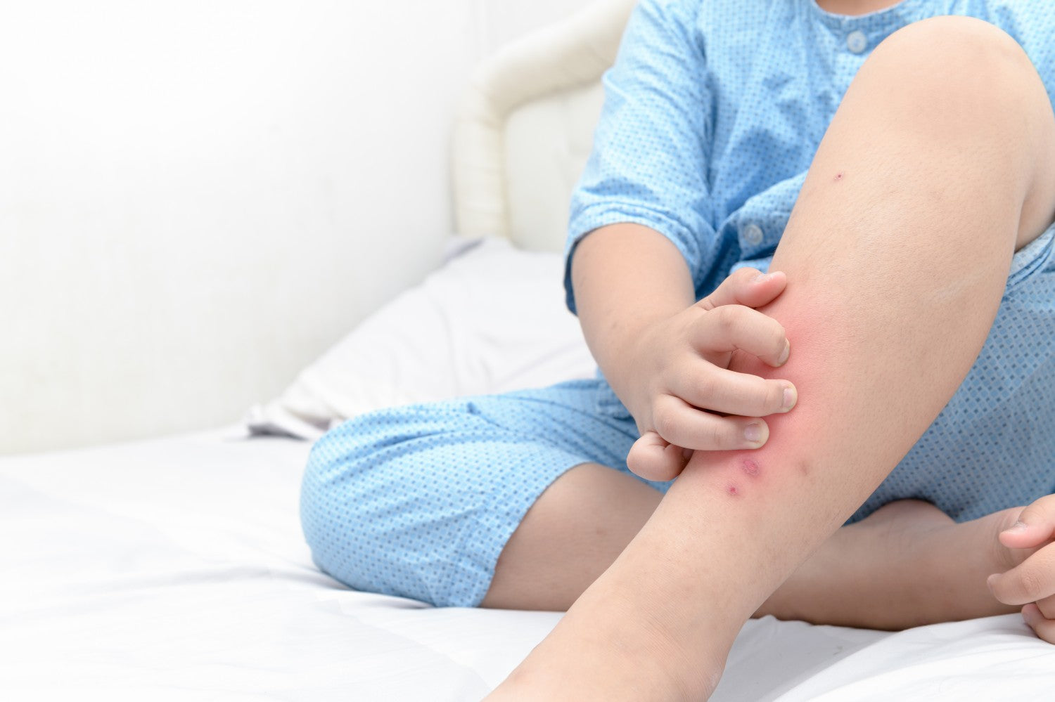 Essential Oils for Bug Repellent: A Comprehensive Guide
