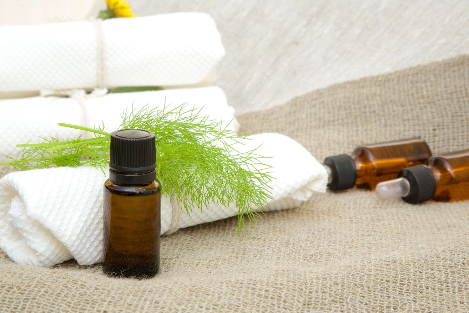 Essential Oils for Laundry: A Greener, Fresher Routine