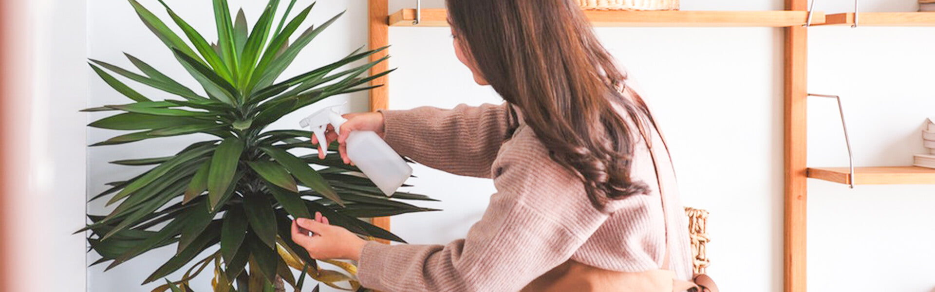 Essential Oils for Bug Repellent