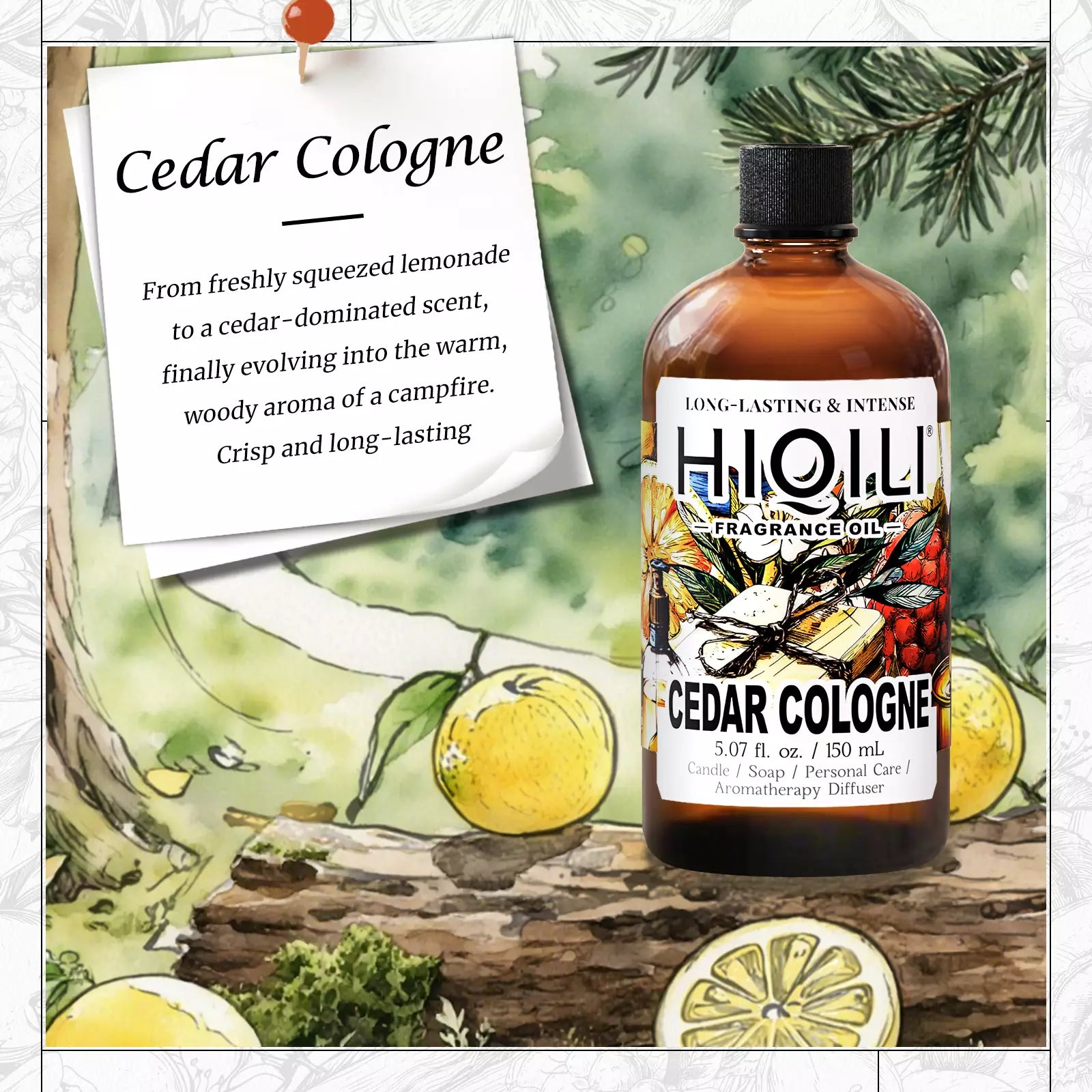 Cedar Cologne Fragrance Oil