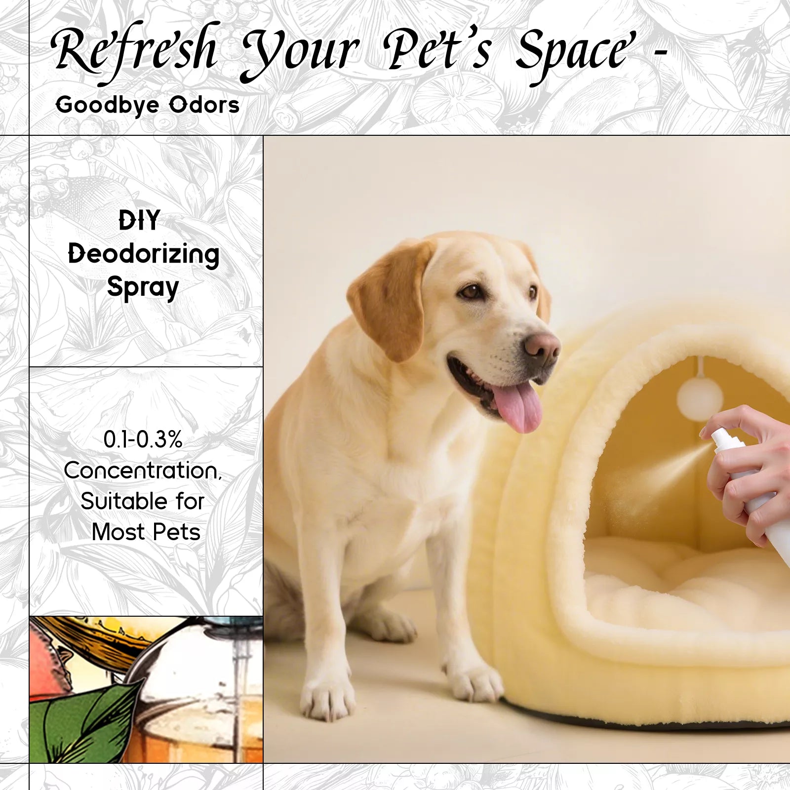 Blood Orange Dusk Fragrance Oil