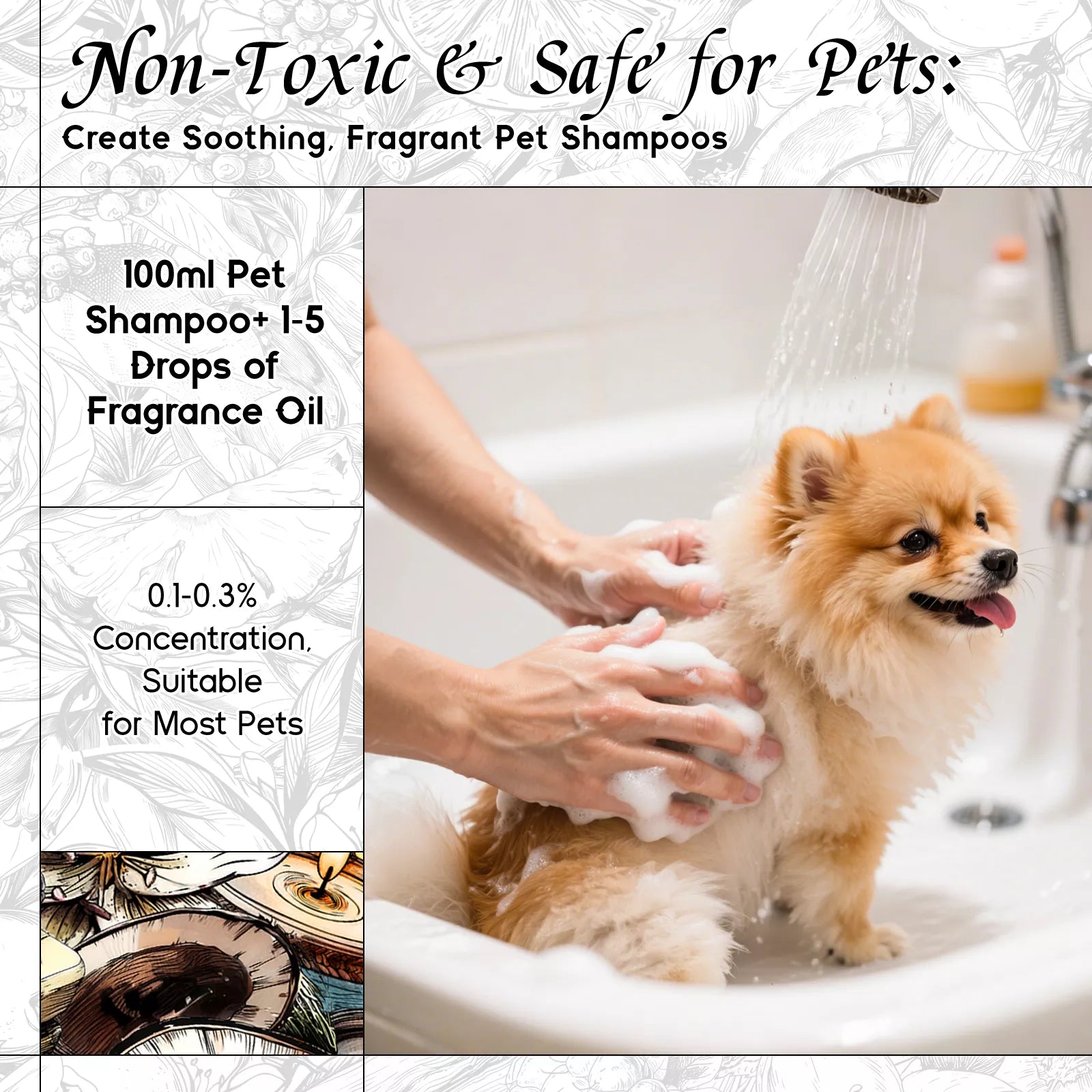 Coconut Vanilla Fragrance Oil