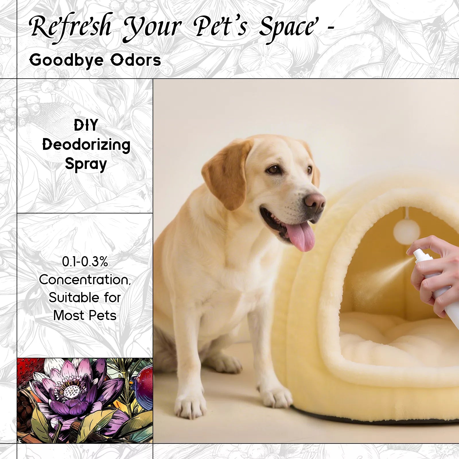 Water Lily Papyrus Fragrance Oil