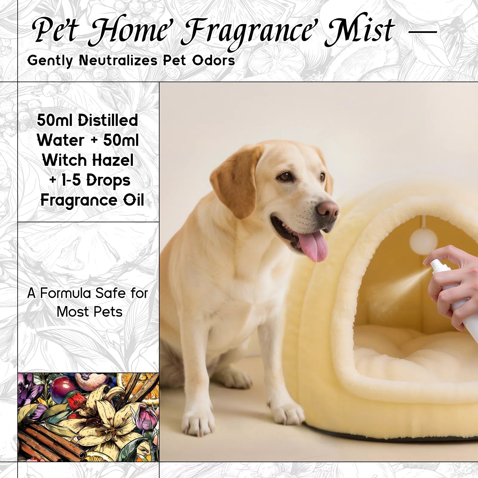 Parisian Nocturne Fragrance Oil