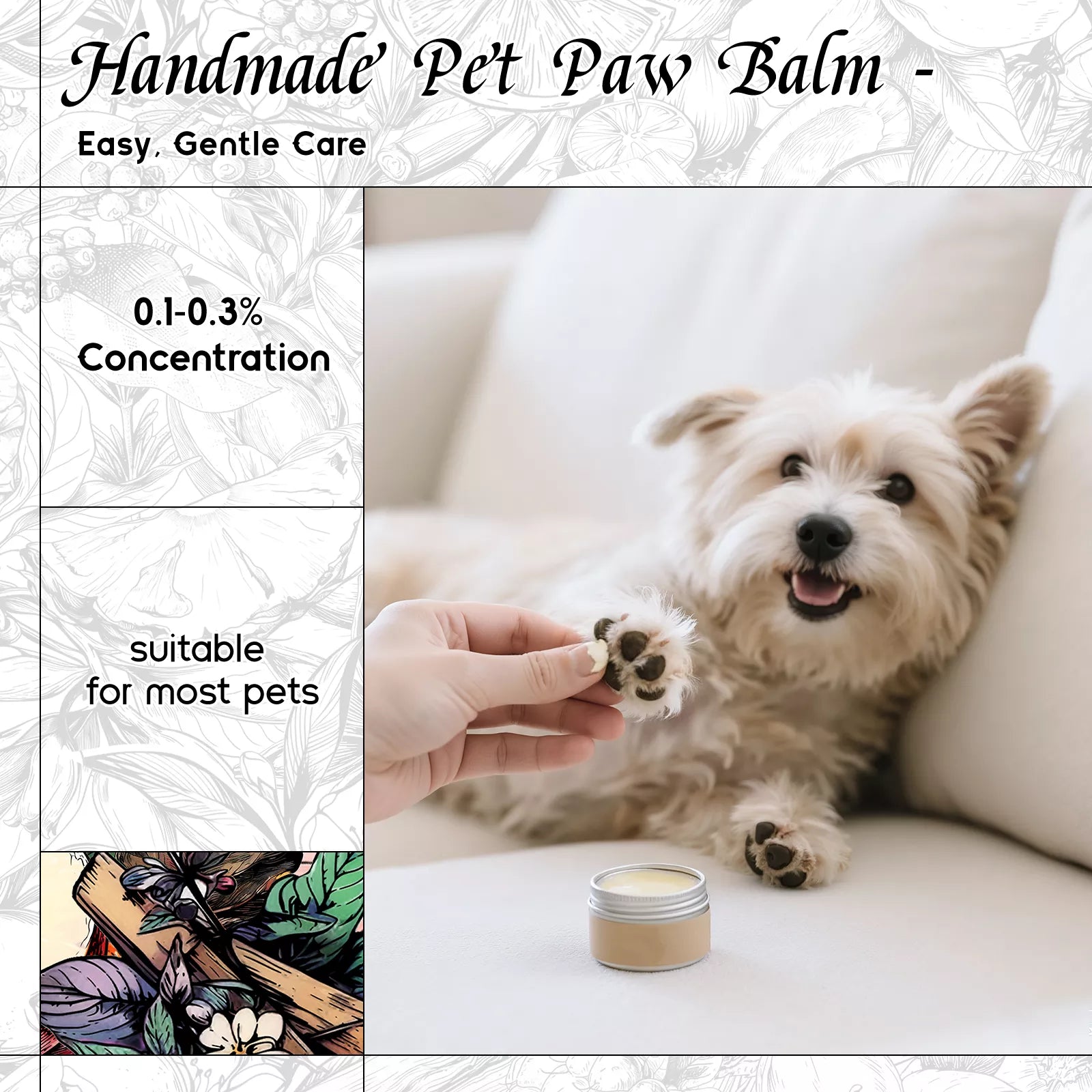 HIQILI Water Lily Moonbeam Fragrance Oil