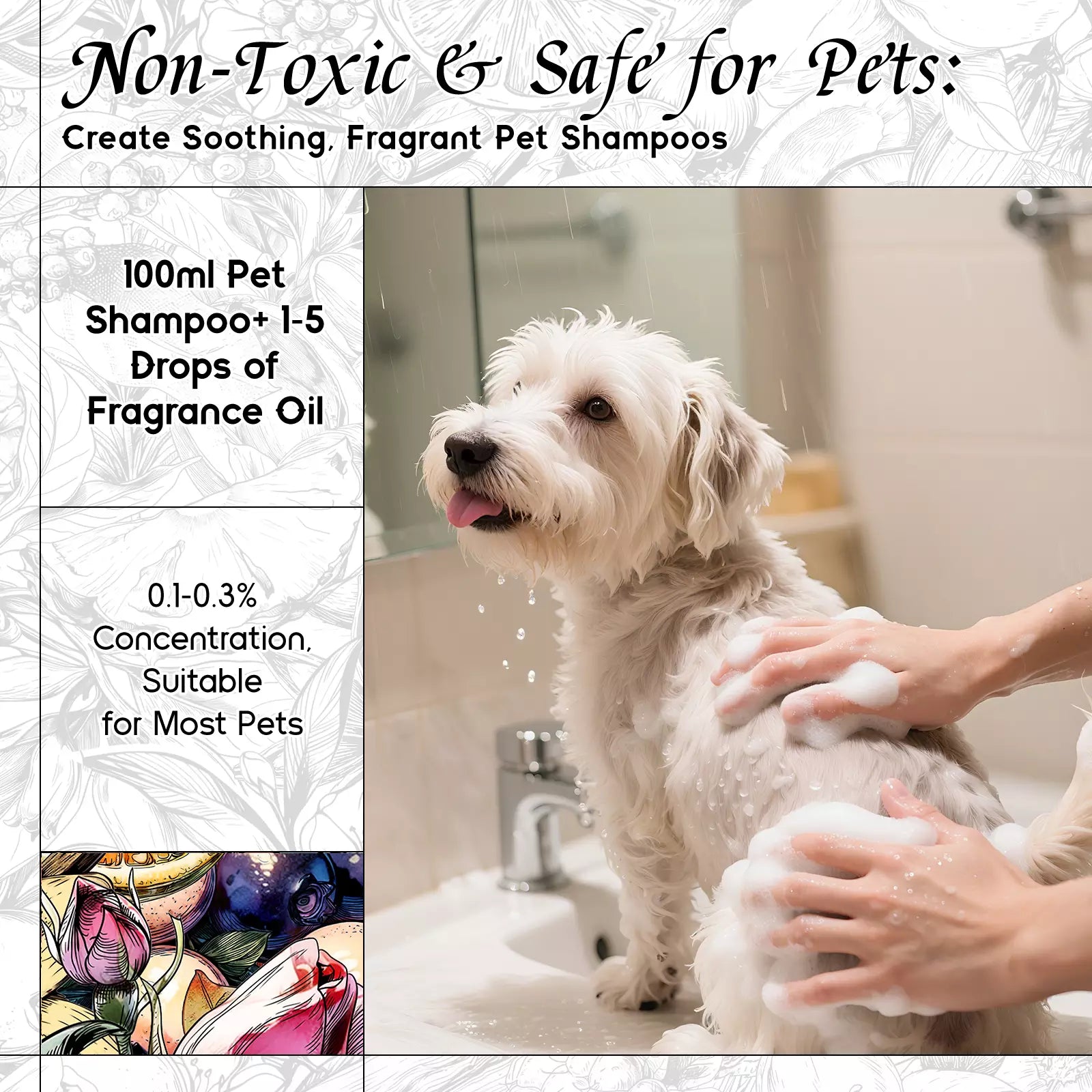 Life Serendipity Fragrance Oil