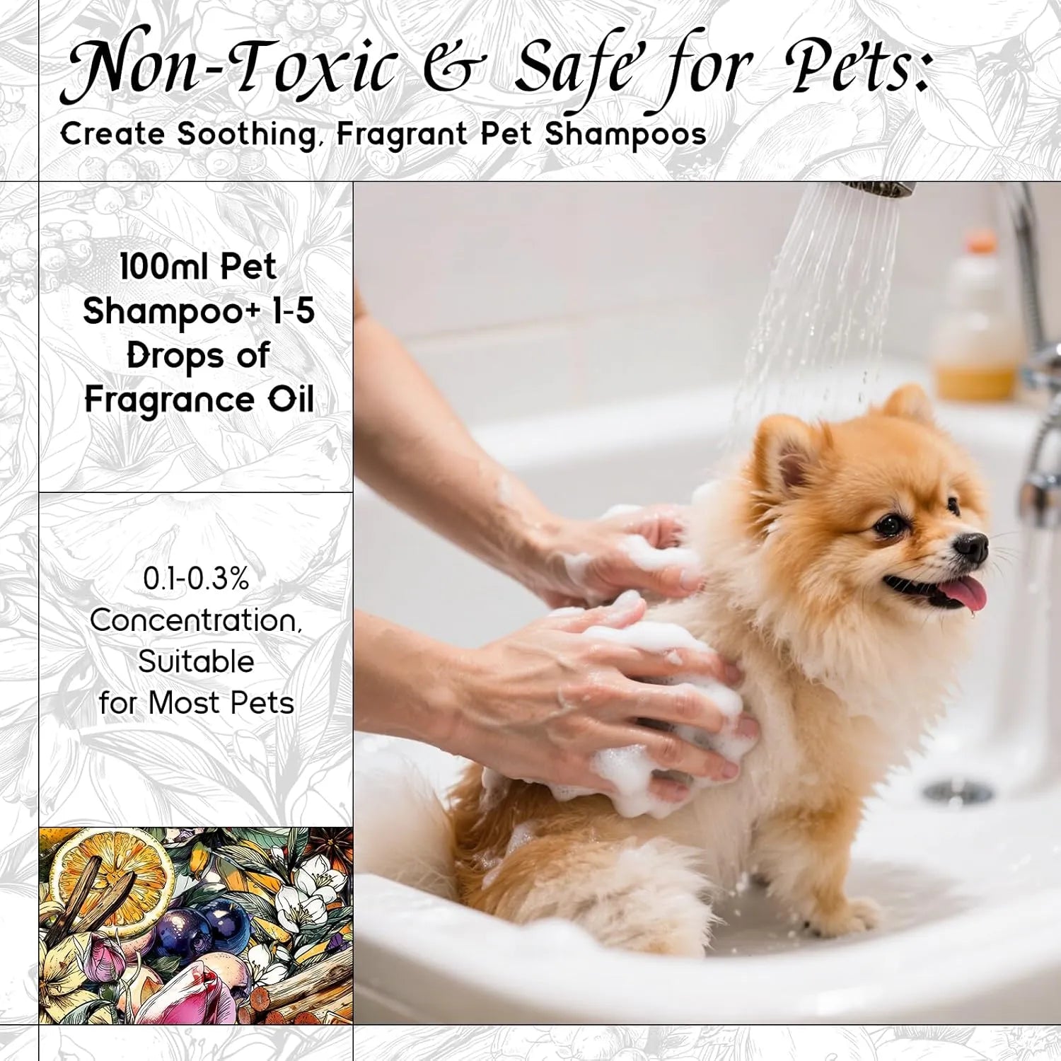 Midnight Craving Fragrance Oil