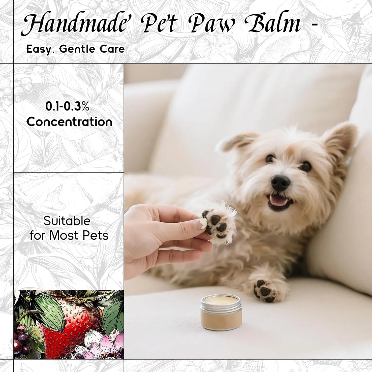 Pomegranate Halo Fragrance Oil