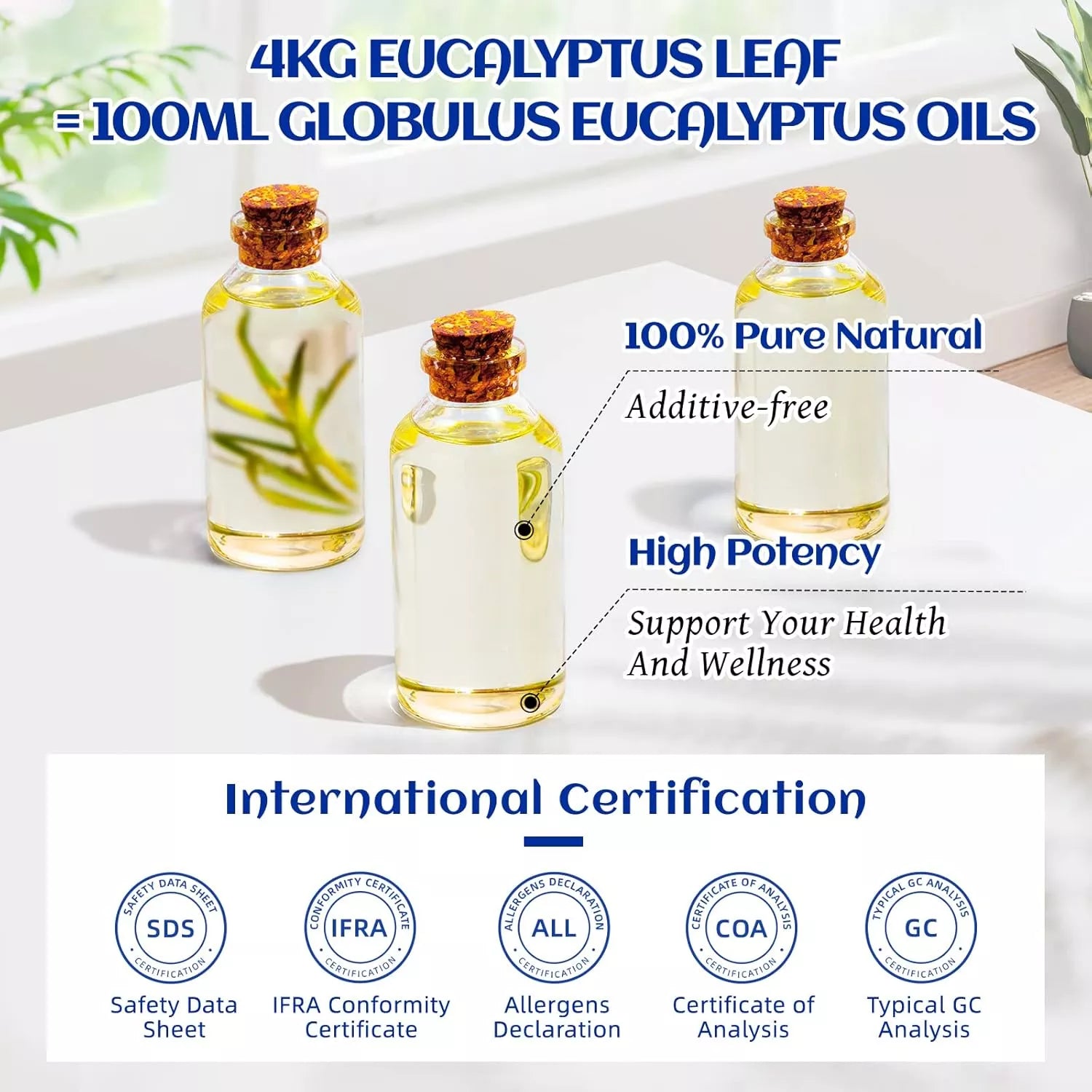Globulus Eucalyptus Essential Oil
