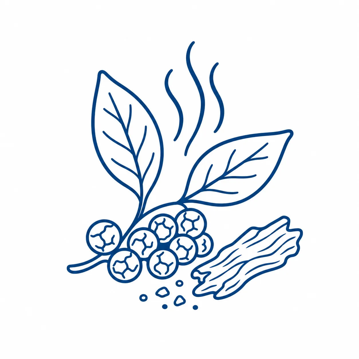 Black peppercorns with leaves and aroma waves representing a warm, dry peppery scent