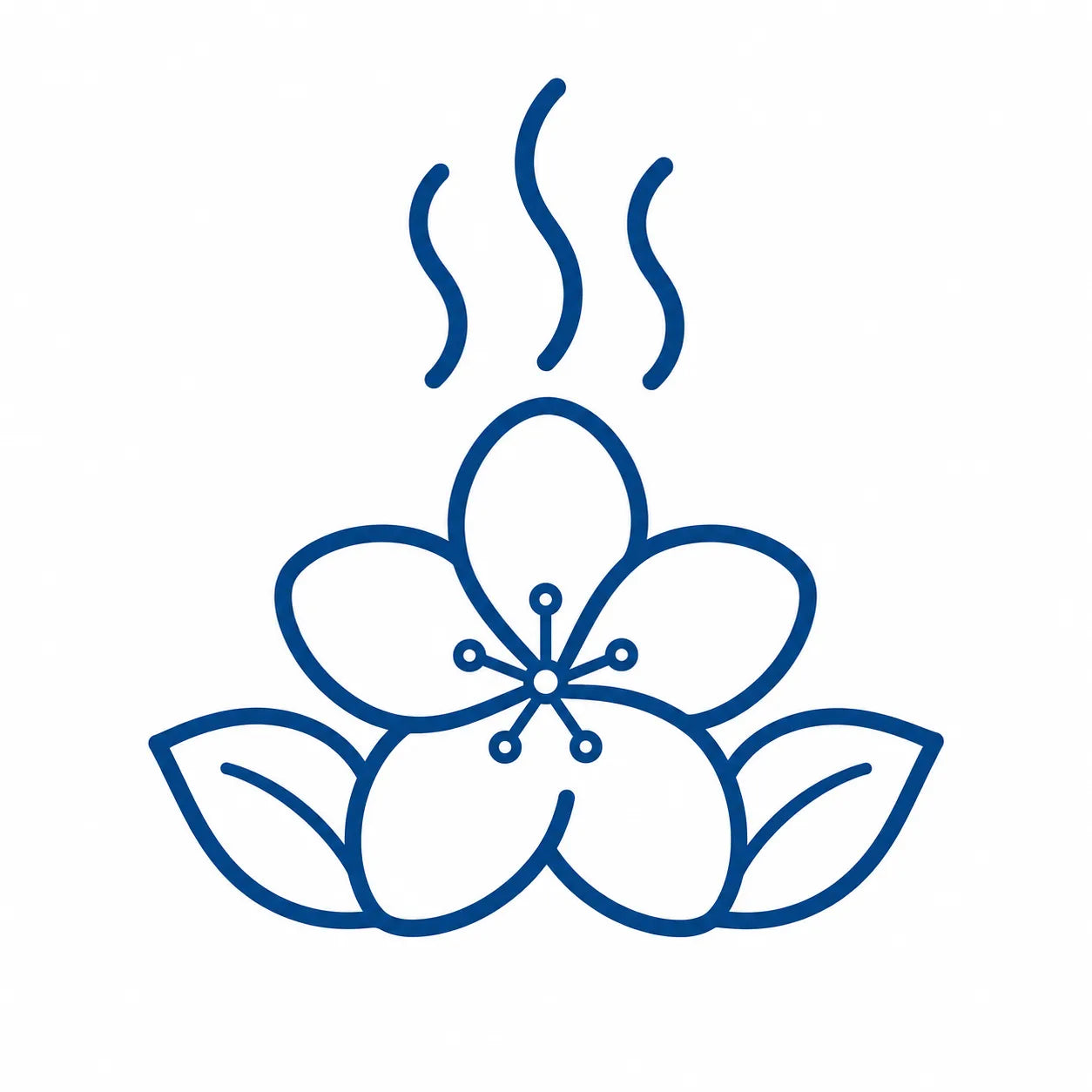 Jasmine blossom with scent waves representing a warm, full-bodied floral aroma