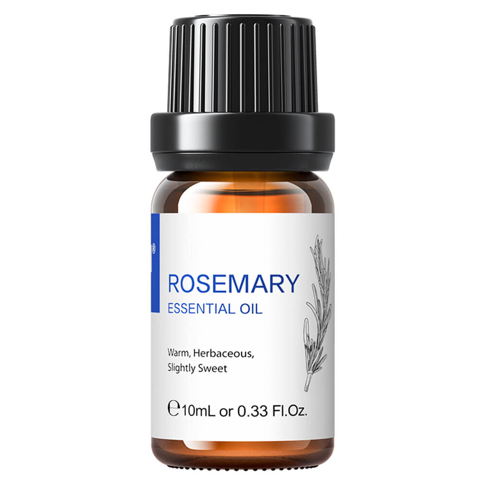 Rosemary Oil HIQILI Official Store rosemary-oil-hiqili-official-store