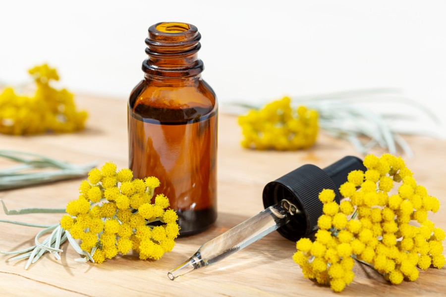 Helichrysum Essential Oil Uses: Skin, Massage, Aroma and Safe Dilution