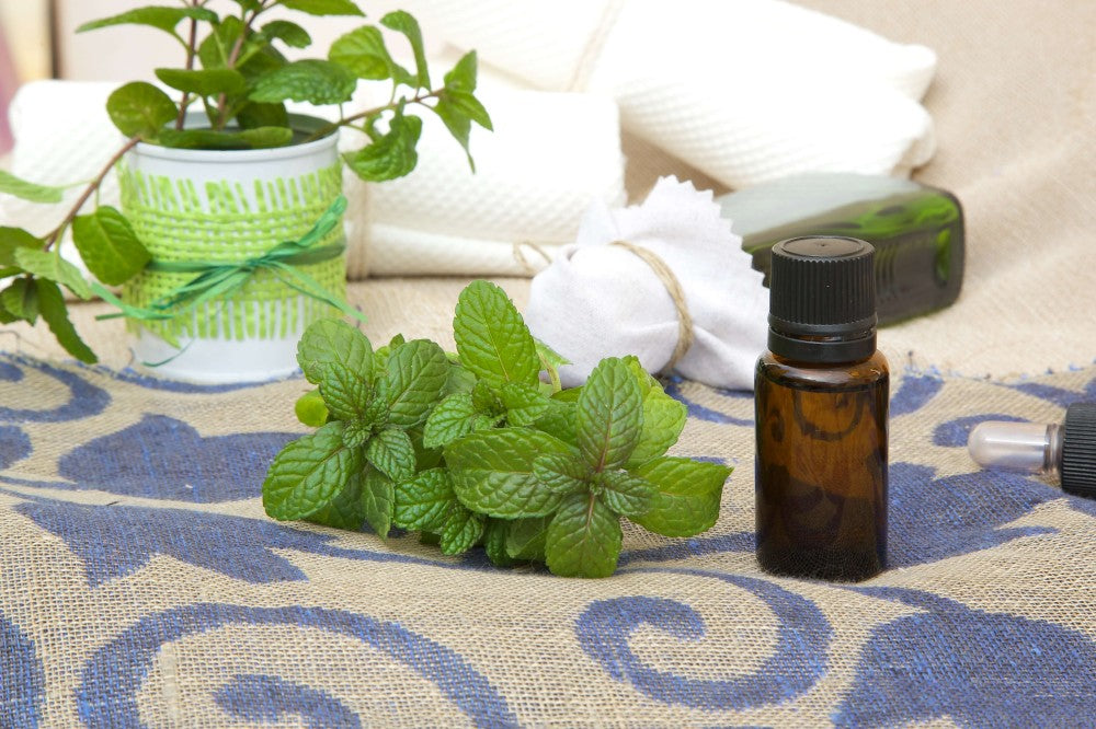 Spearmint Essential Oil Uses: A Comprehensive Guide for Skin, Hair, and Wellness