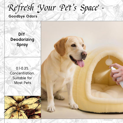 Vanilla Fragrance Oil