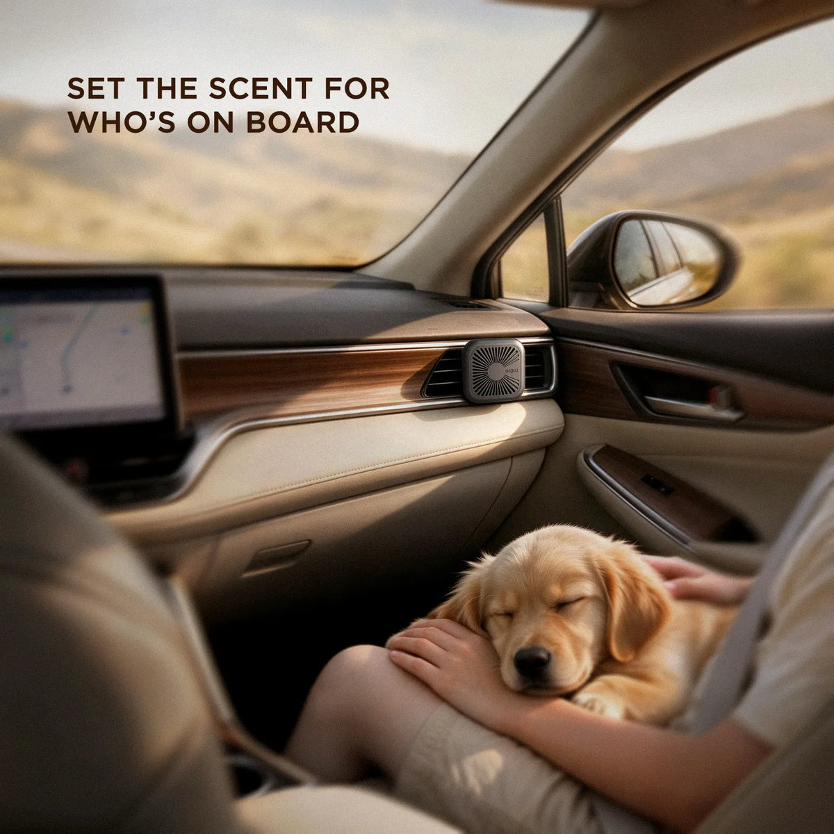 Gray diffuser on a passenger air vent with a golden retriever puppy asleep on the seat beside it
