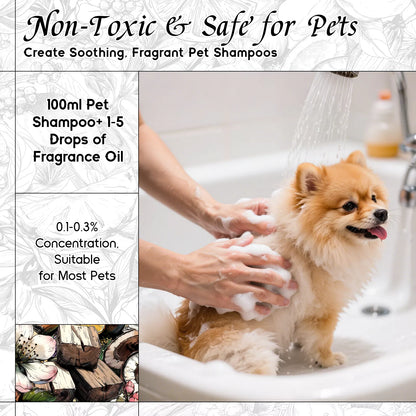 Fatal Kiss Fragrance Oil