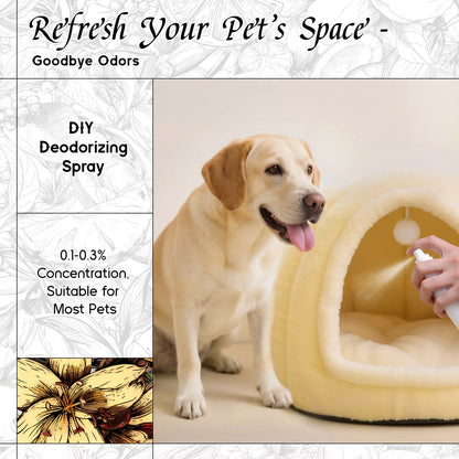 Vanilla Fragrance Oil