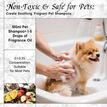 Sandalwood Cipher Fragrance Oil