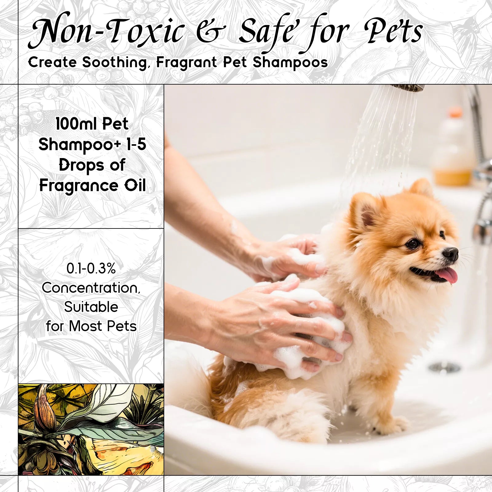 Mint Bergamot Matins Fragrance Oil