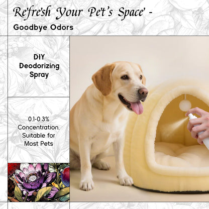 Water Lily Papyrus Fragrance Oil