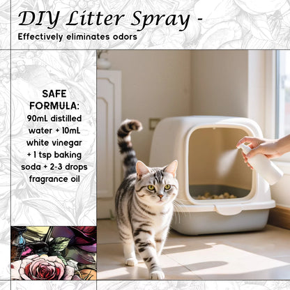 Miracle Ember Fragrance Oil