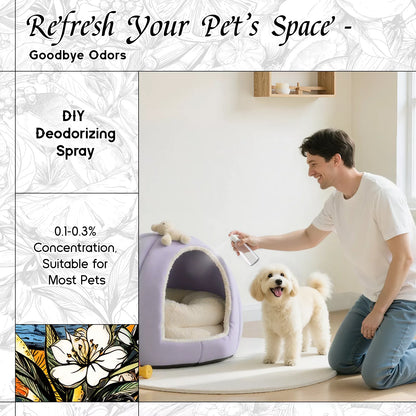 Fortunate Wish Fragrance Oil