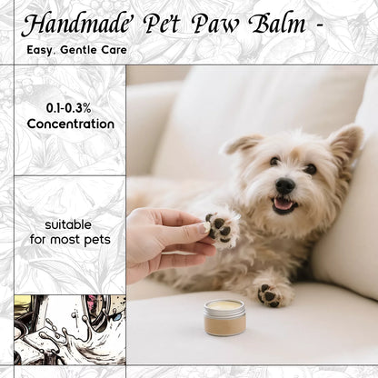 Blanc Amour Fragrance Oil