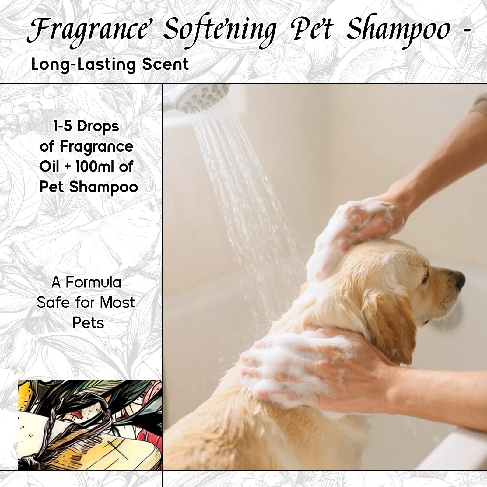 Cologne Ocean Fragrance Oil