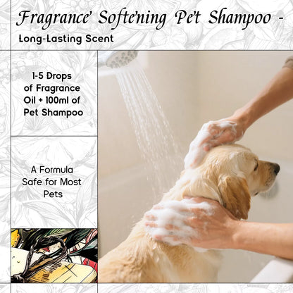 Cologne Ocean Fragrance Oil