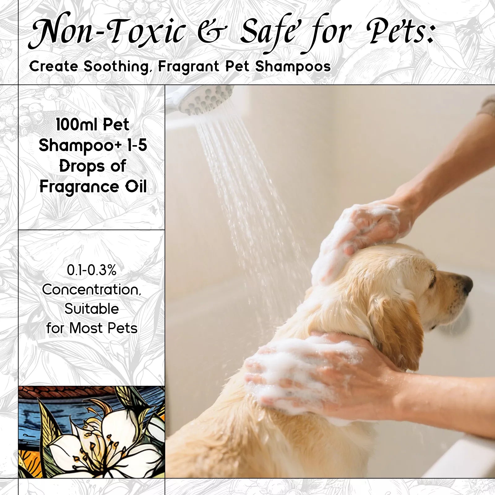 Camellia & Orchid Fragrance Oil