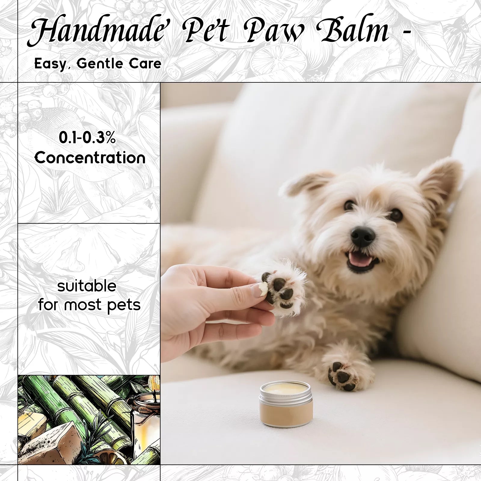 Bamboo Fragrance Oil