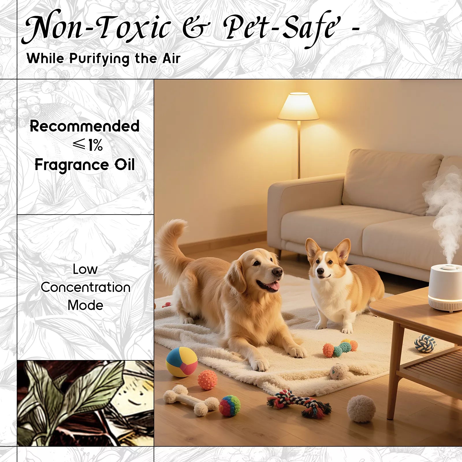 Chocolate Fragrance Oil