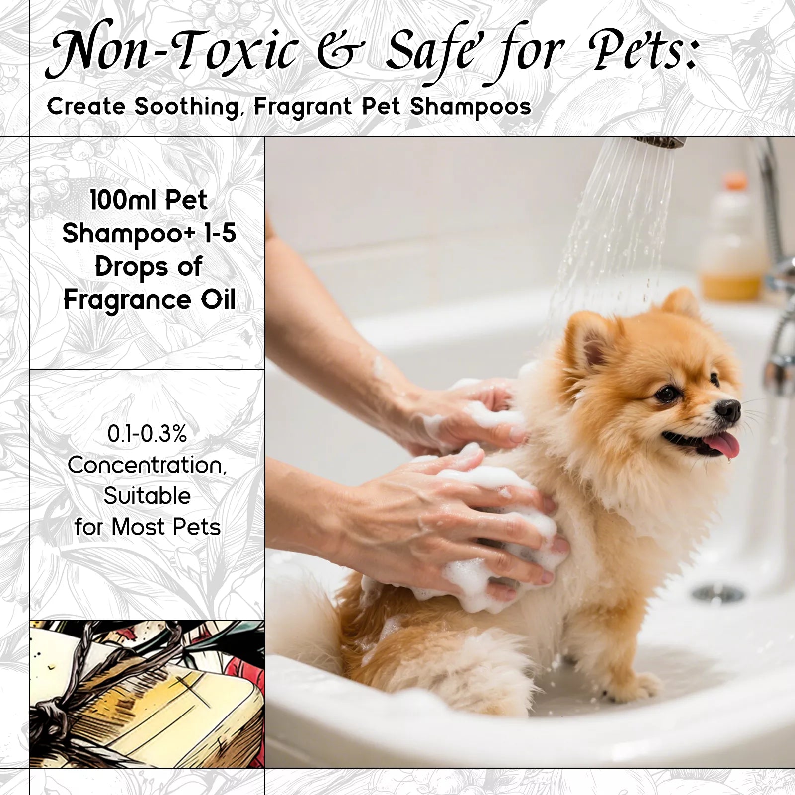 Amber & Sandalwood Fragrance Oil