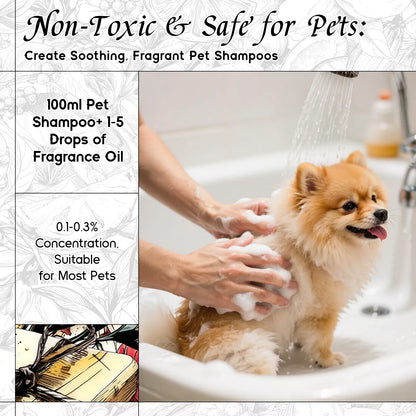 Amber & Sandalwood Fragrance Oil