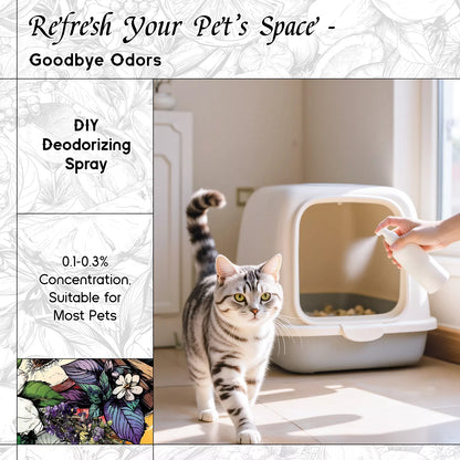 Velvet Nocturne Fragrance Oil