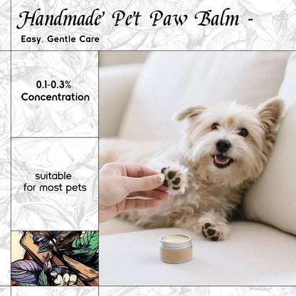 Water Lily Moonbeam Fragrance Oil