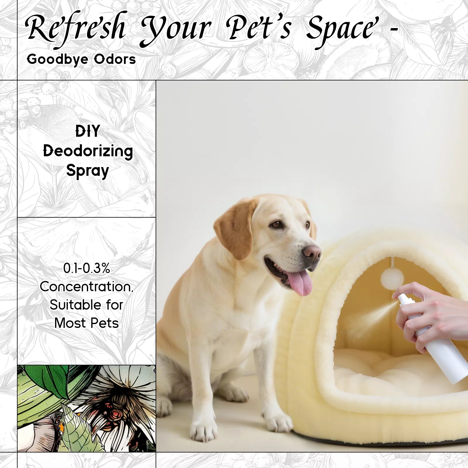 Aqueous Bloom Fragrance Oil