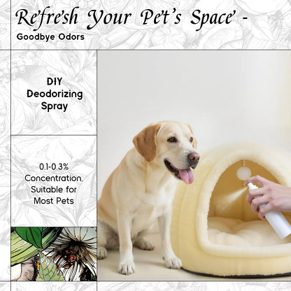 Aqueous Bloom Fragrance Oil