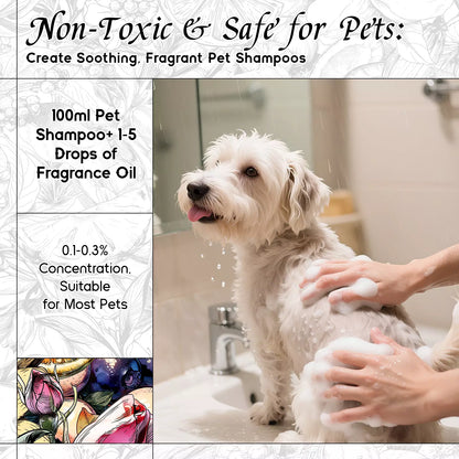 Life Serendipity Fragrance Oil