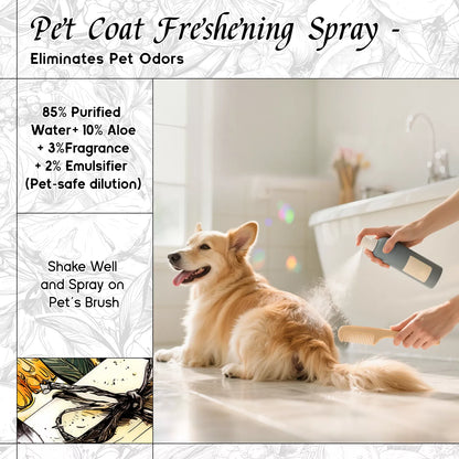 Magic Mirror Fragrance Oil