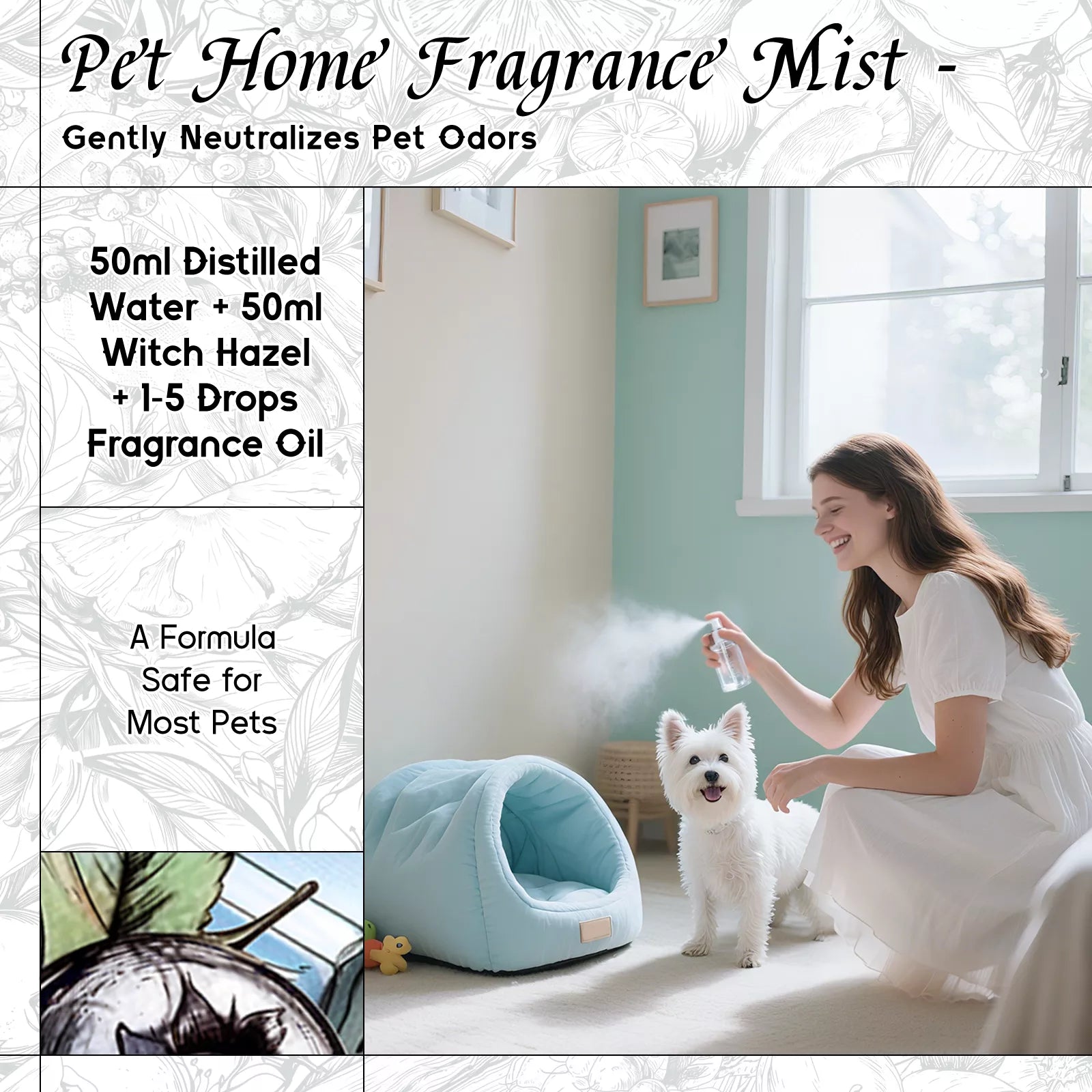 Blueberry Fragrance Oil