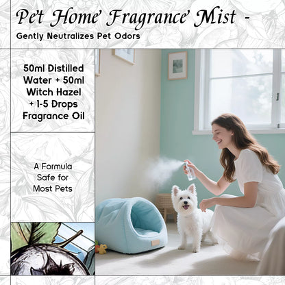 Blueberry Fragrance Oil