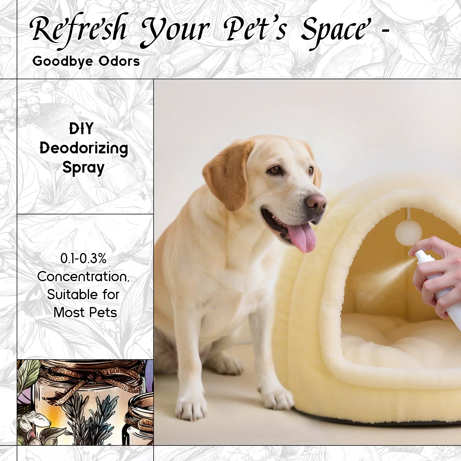 Honeyed Sandalwood Fragrance Oil