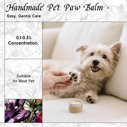 Looking for Myself Fragrance Oil