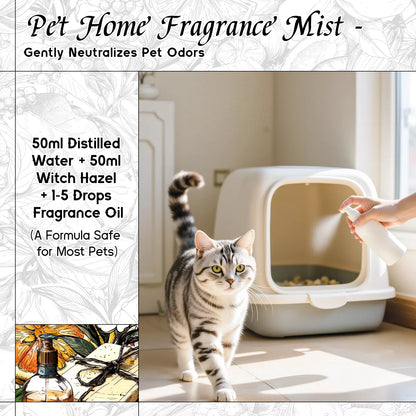 Joy Eternal Bloom Fragrance Oil