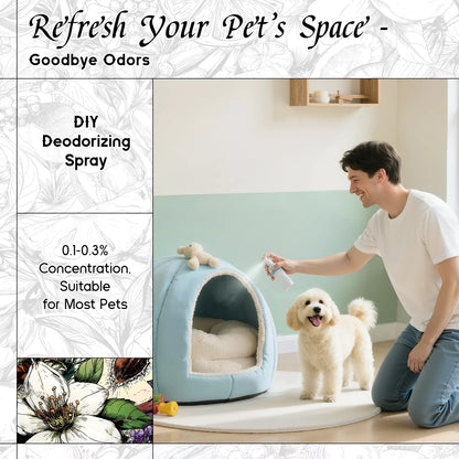 Dragon Tea Nebula Fragrance Oil