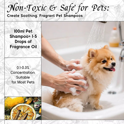 Amber Soil Fragrance Oil