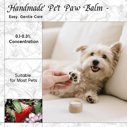 Pomegranate Halo Fragrance Oil